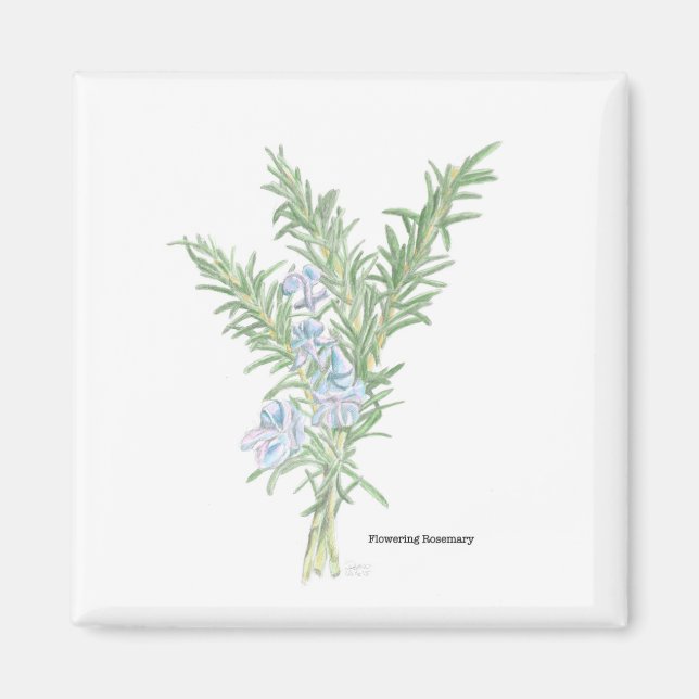 Blommar Rosemary Magnet (Framsidan)