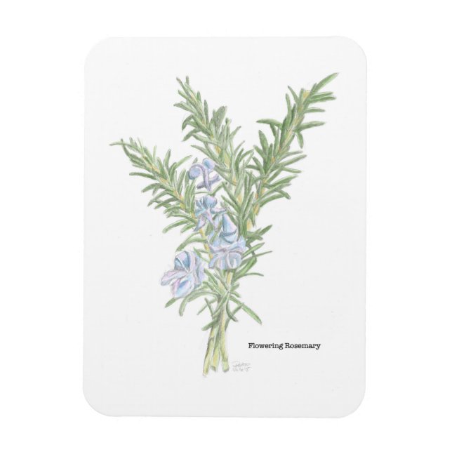 Blommar Rosemary Magnet (Vertikal)
