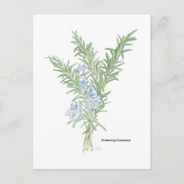 Blommar Rosemary Vykort