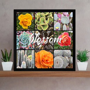Blommar Script Modern Cacti Ro Mönster Photo Poster