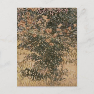 Blommar Shruber, Vincent van Gogh Vykort