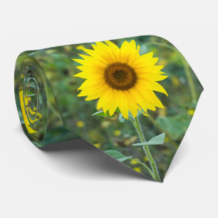 Blommar Solrosblomma Slips