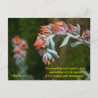 Blommar Succulent Helg Vykort
