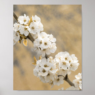 Blommar Symphony Natures overture Poster