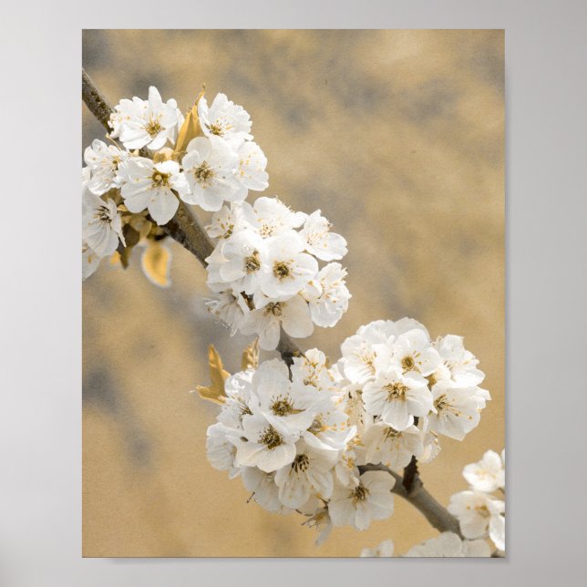 Blommar Symphony Natures overture Poster (Framsidan)