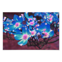 Blommar Träd blommar