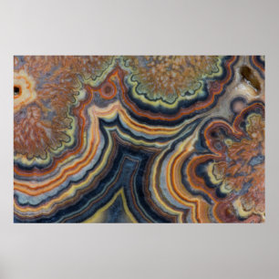 Blommar tub onyx poster