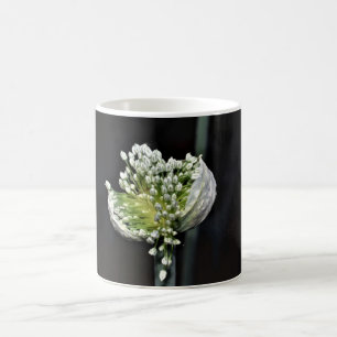 Blommar Vår Onion Kaffemugg