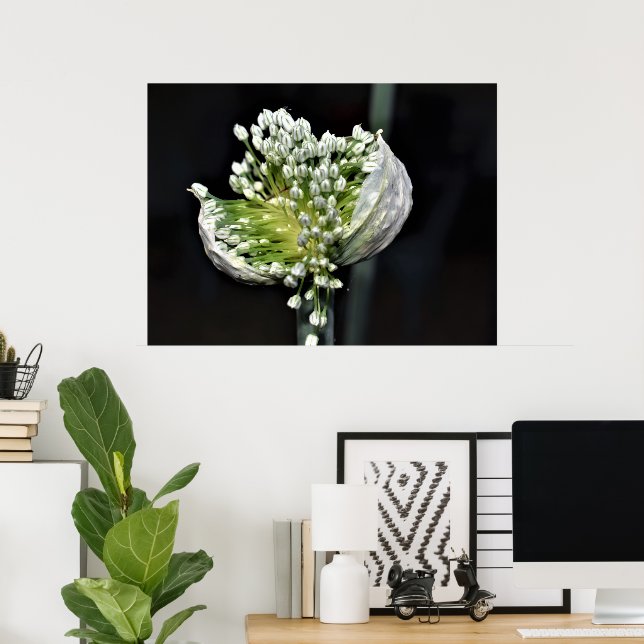 Blommar Vår Onion Poster (Hemmakontoret)