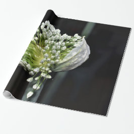 Blommar Vår Onion Presentpapper