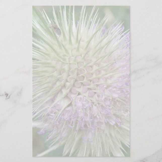 Blommar Vild Gass Stationery Brevpapper (Framsida)