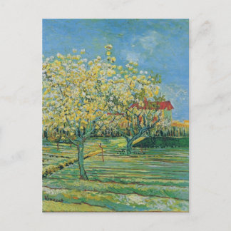 Blommar: Vincent van Gogh Fine Art Vykort
