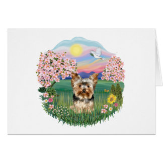 Blommar - Yorkshire Terrier (#17) Hälsningskort