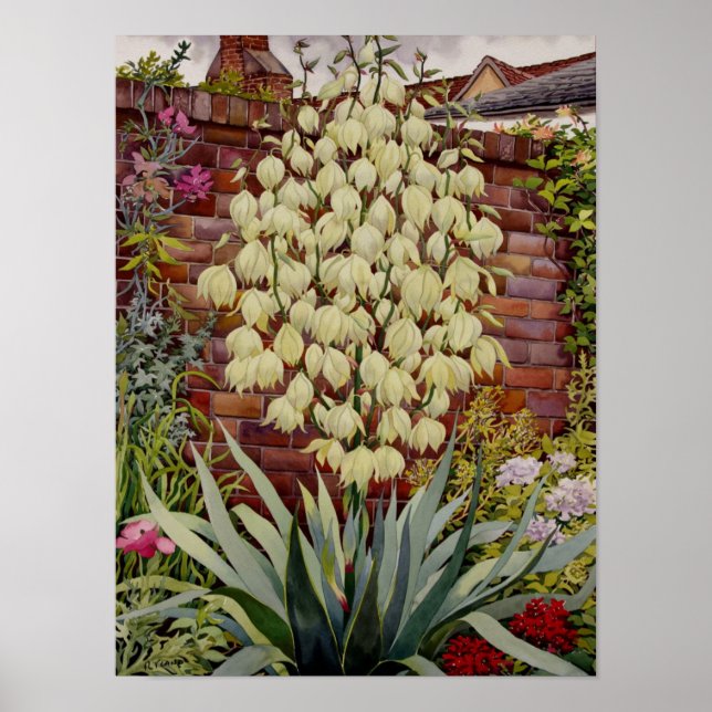 Blommar Yucca Poster (Framsidan)