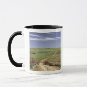 Blommaraloes nära Caledon, western udd Mugg