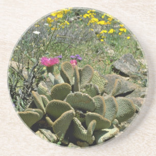 BlommarBeavertail kaktus med vildblommaflowe Underlägg