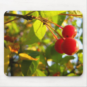 BlommarCrabapple nedgång Mousepad Musmatta