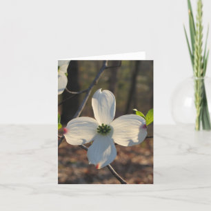 BlommarDogwood Kort