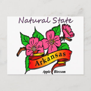 Blommarna Arkansas Natural State Apple Vykort