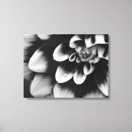 Blommarna Black and White Dahlia Flower Canvastryck