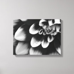 Blommarna Black and White Dahlia Flower Canvastryck