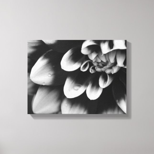 Blommarna Black and White Dahlia Flower Canvastryck (Framsida)