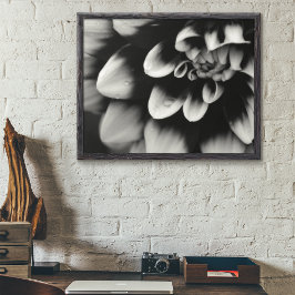 Blommarna Black and White Dahlia Poster