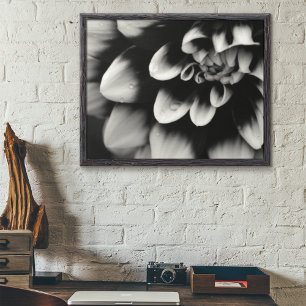 Blommarna Black and White Dahlia Poster