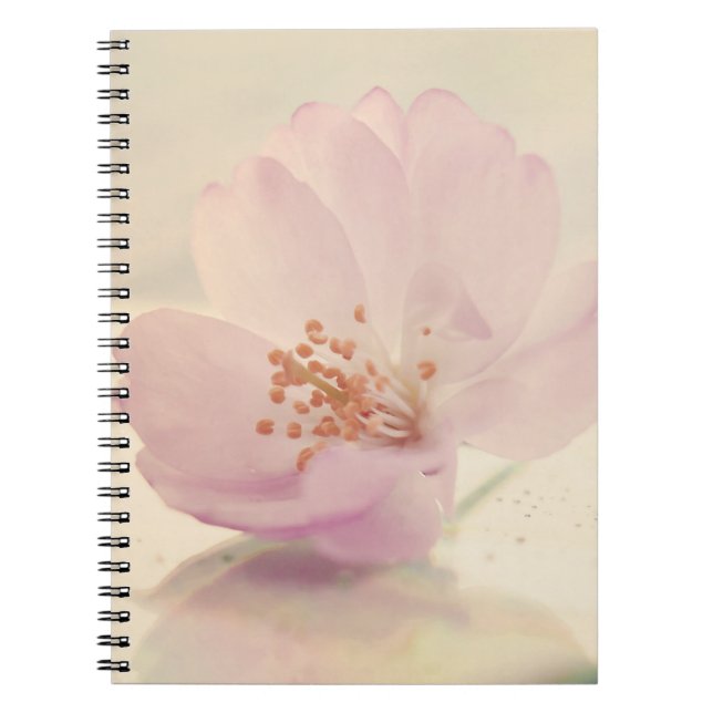 Blommarna Flower vid mjuk Rosa Cherry Anteckningsbok Med Spiral (Framsidan)