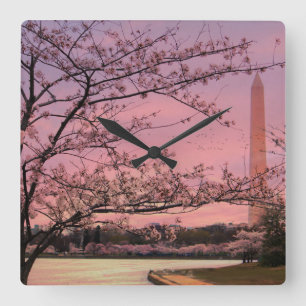 Blommarna i Washington Monument Cherry Fyrkantig Klocka
