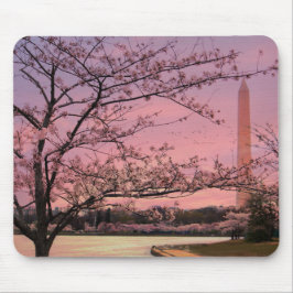 Blommarna i Washington Monument Cherry Musmatta
