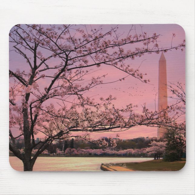 Blommarna i Washington Monument Cherry Musmatta (Framsidan)