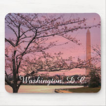 Blommarna i Washington Monument Cherry
