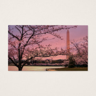 Blommarna i Washington Monument Cherry Visitkort