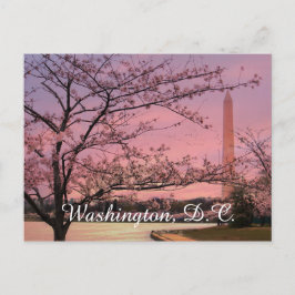 Blommarna i Washington Monument Cherry Vykort