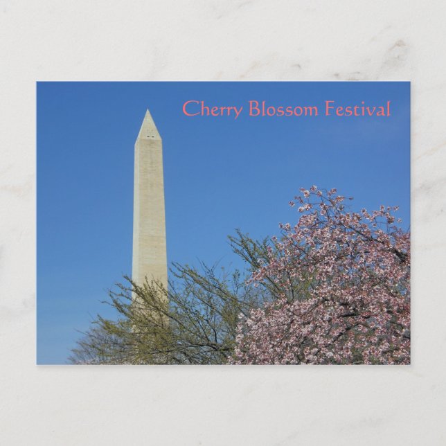 Blommarna i Washington Monument Cherry Vykort (Framsida)