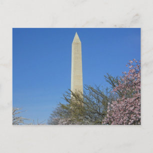 Blommarna i Washington Monument Cherry Vykort
