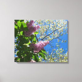 Blommarna Lilacs och Cherry - Martha's Vineyard Canvastryck