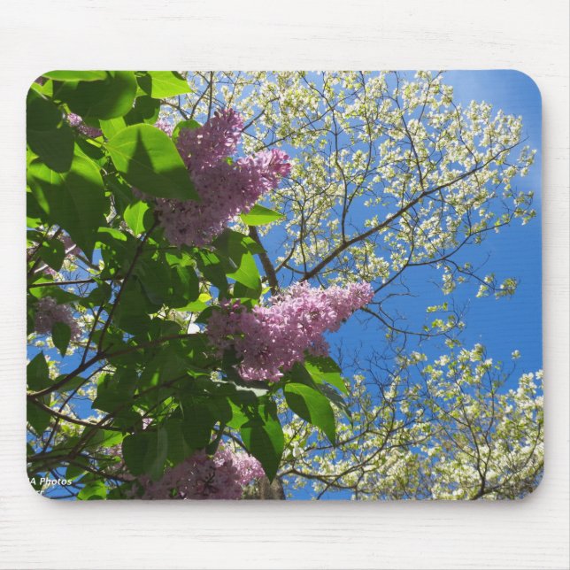 Blommarna Lilacs och Cherry - Martha's Vineyard Musmatta (Framsidan)