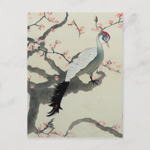 Blommarna Nihonga Japan Traditional Bird Cherry Vykort