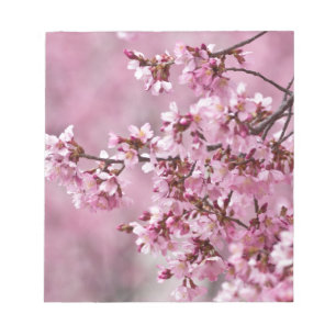Blommarna Pastel Rosa Lagrar Anteckningsblock