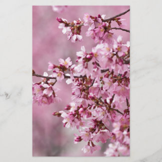 Blommarna Pastel Rosa Lagrar Brevpapper