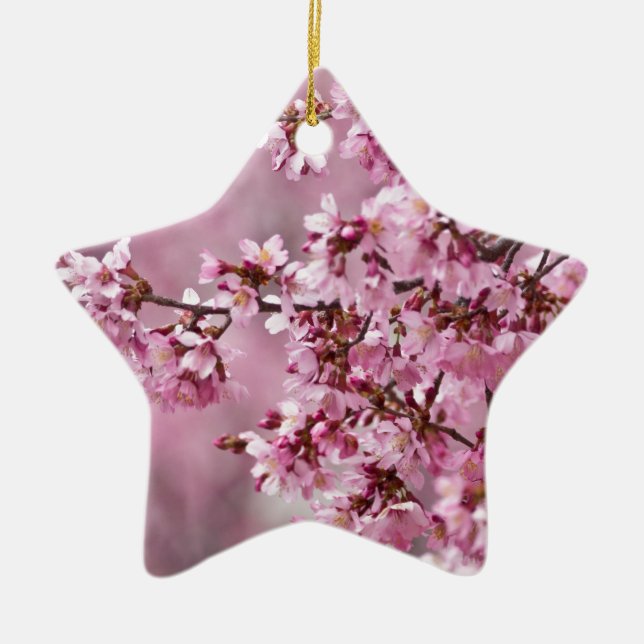Blommarna Pastel Rosa Lagrar Julgransprydnad Keramik (Framsidan)