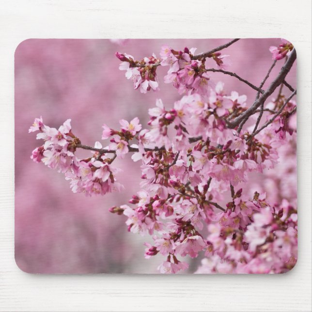 Blommarna Pastel Rosa Lagrar Musmatta (Framsidan)