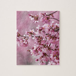 Blommarna Pastel Rosa Lagrar Pussel