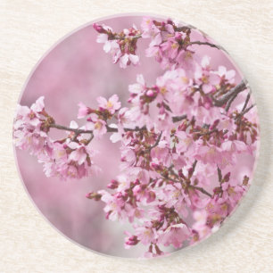Blommarna Pastel Rosa Lagrar Underlägg Sandsten