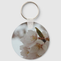 Blommarna Sakura BeSnyval Japans Cherry