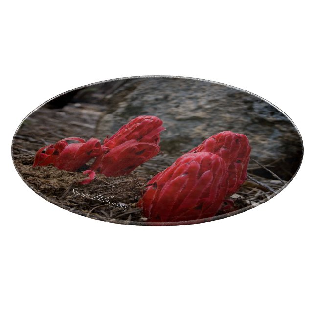 Blommarna snö (Hörn)