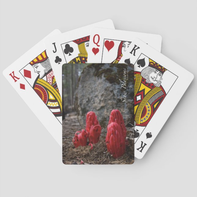 Blommarna snö casinokort (Baksidan)