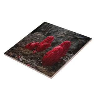 Blommarna snö kakelplatta